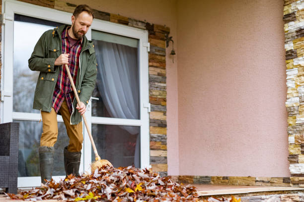 Best Yard Cleanup Services  in Liberty City, TX
